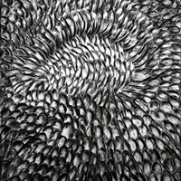 Pastel noir sur papier canson, L'oeil, 98x80cm, 2008,  coll part. 